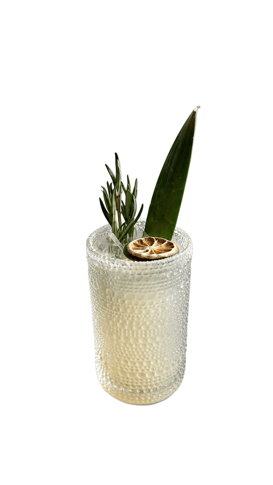 Paloma