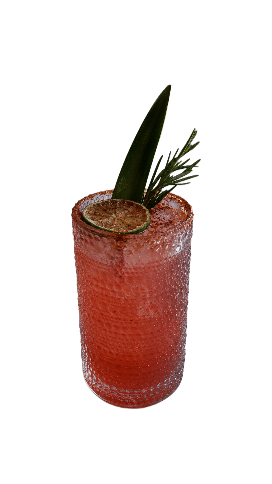 Watermelon Mint mocktail